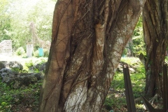 Yaxchilán - Chiapas